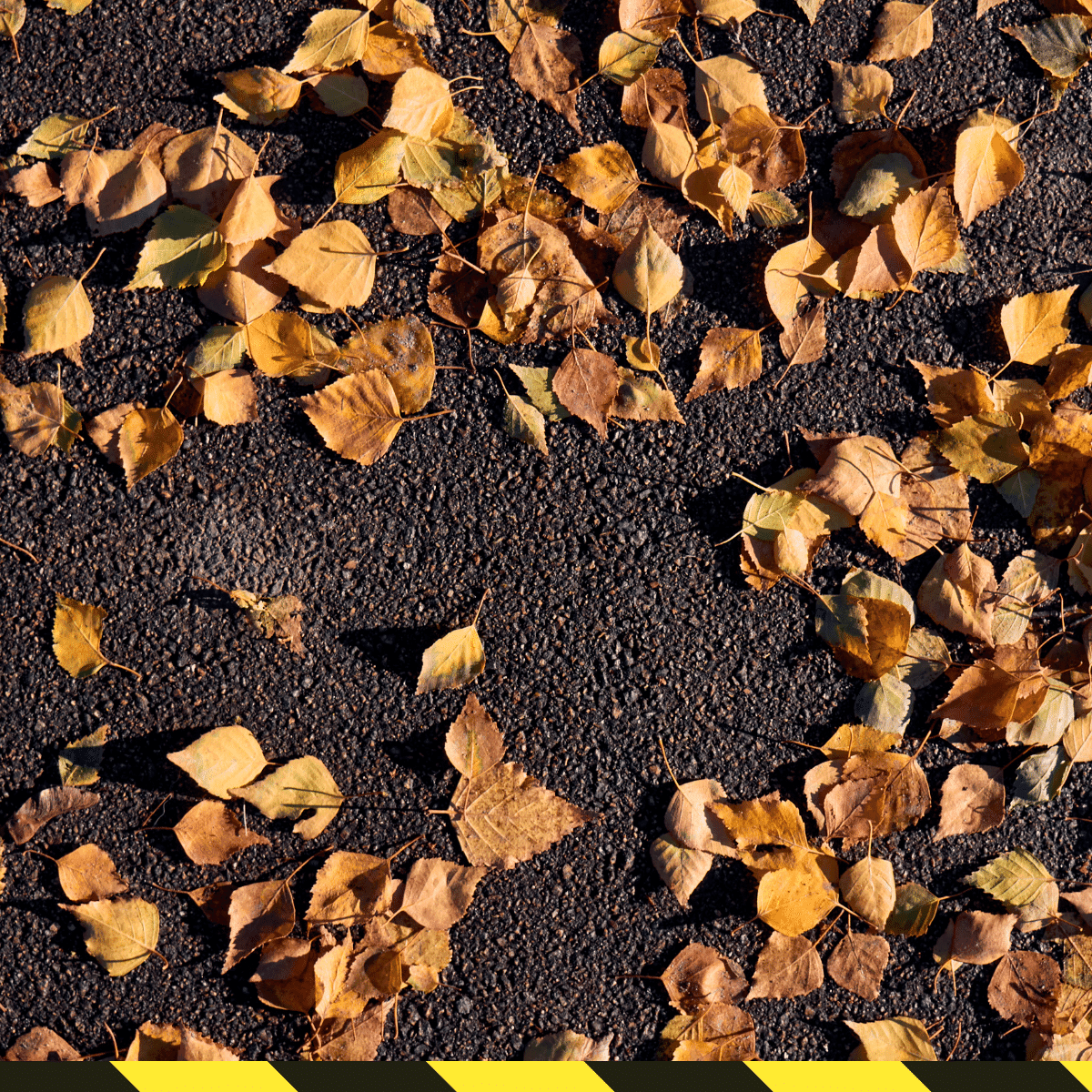 étude de sol Automne