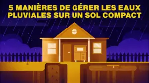 5 manières de gérer les eaux pluviales sur un sol compact